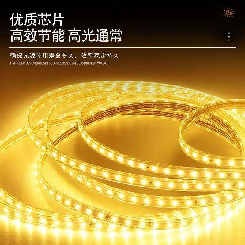 太阳能+插电互补LED灯带户外防水庭院220V灯条太阳能板遥控发光