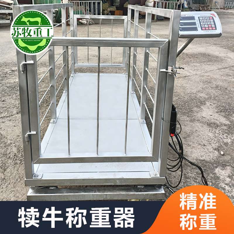 苏牧重工养殖设备犊牛称重器厂家养牛场用0-6个月小牛称重设备