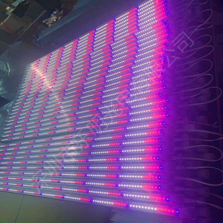 厂家 LED植物生长灯管全光谱白红蓝光T8一体化植物补光灯红蓝