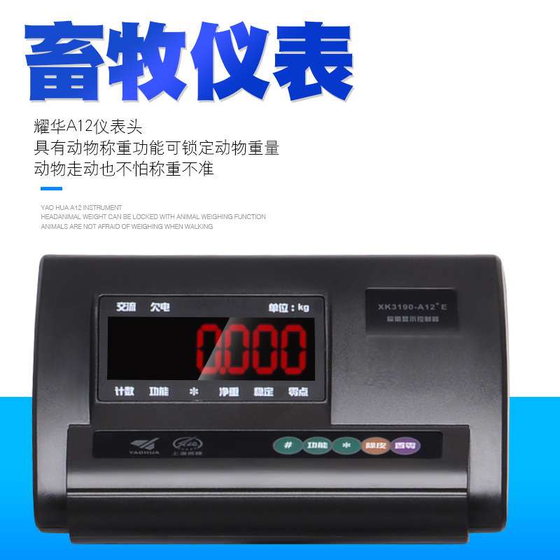 小型地磅5吨20磅秤1-3地秤100磅称1吨2吨3吨地泵秤称猪牛地磅秤