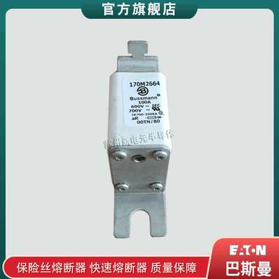 170M2679 2680 2681 M2682 M2683 2684 2685 bussmann快速熔断器