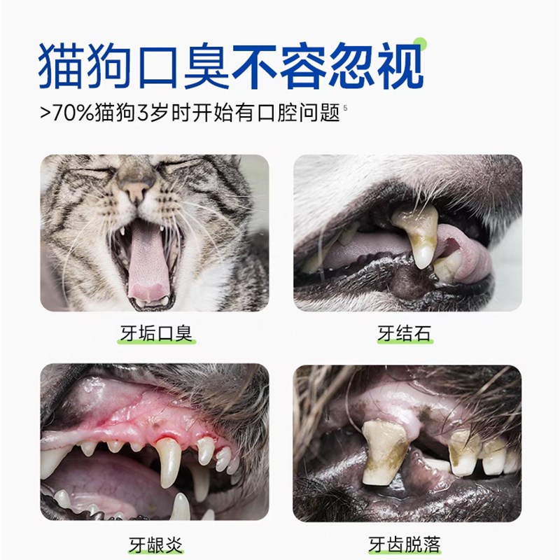 里兜口气冻干洁齿颗粒狗狗猫咪洁齿冻干清新口气改善口臭洁齿