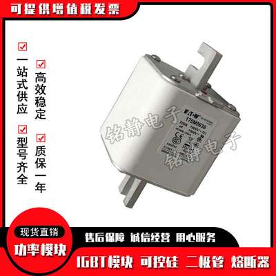 170M8505 170M8506 170M8507 170M8508巴斯曼熔断器现货