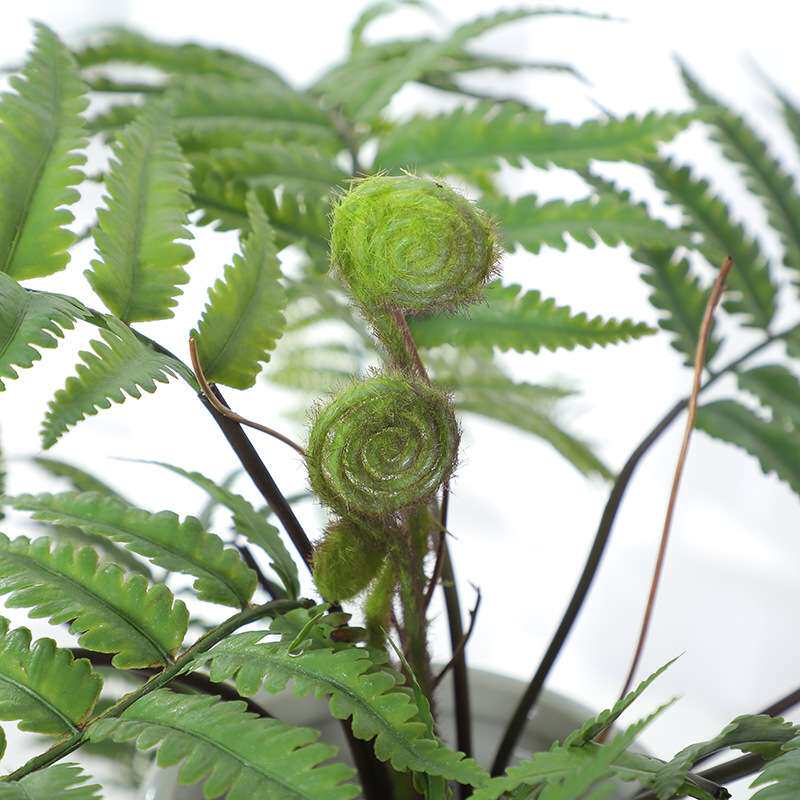 跨境热款仿真绿植盆栽长枝大厥叶枝草叶盆景居家客厅装饰植物摆件