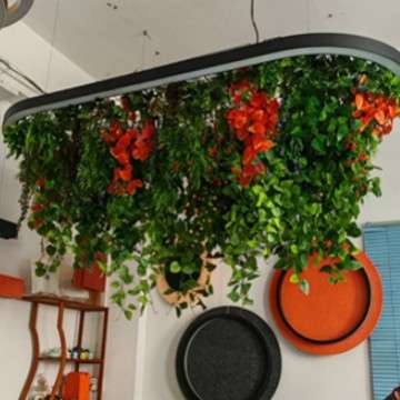 灯具大型圆形环形植物吊灯健身房餐厅酒店办公区现代中餐厅餐吧灯
