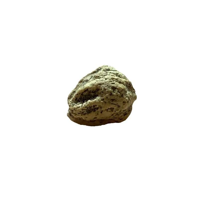 菩提文玩菩提百香子文玩热振百香子文玩百香子原子多棱鬼脸散