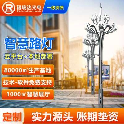 智慧路灯智慧灯杆显示屏充电桩监控含云平台6米7米8米厂家直销