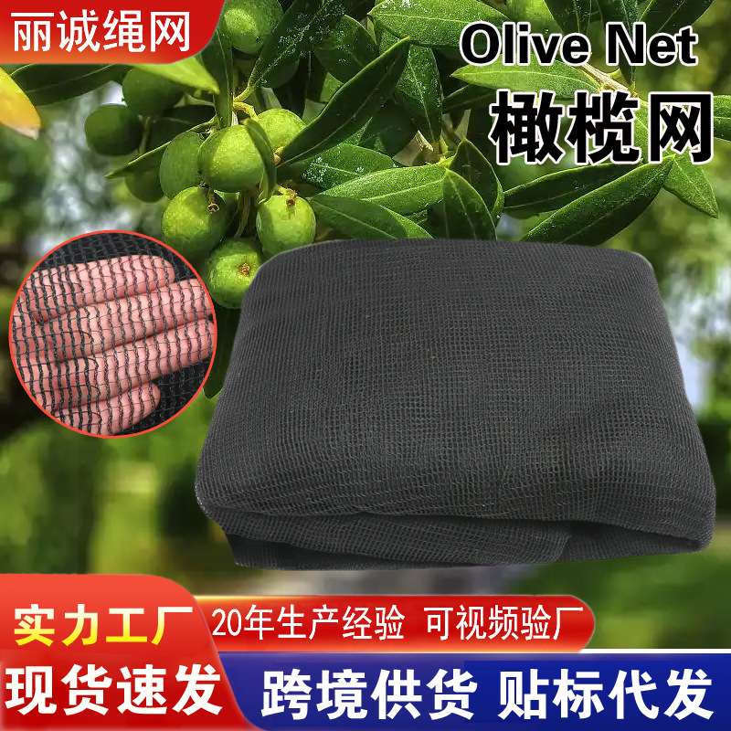 橄榄网果实收集网绿色高密度聚乙烯网防坠密目网花园防风网
