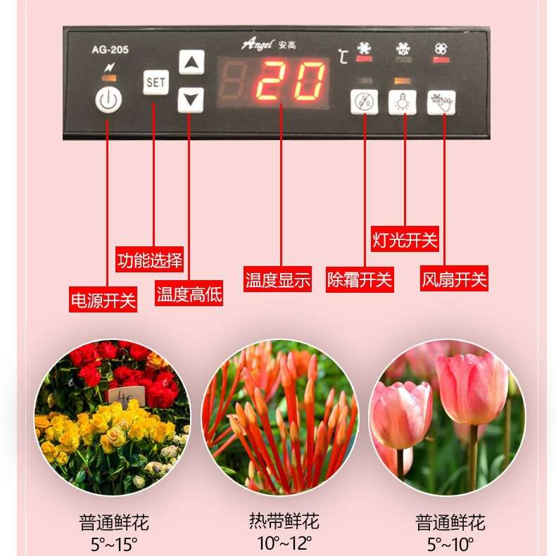 双门花店鲜花冰柜保鲜柜风冷无霜冷藏展示柜冰箱保险柜商用三门单