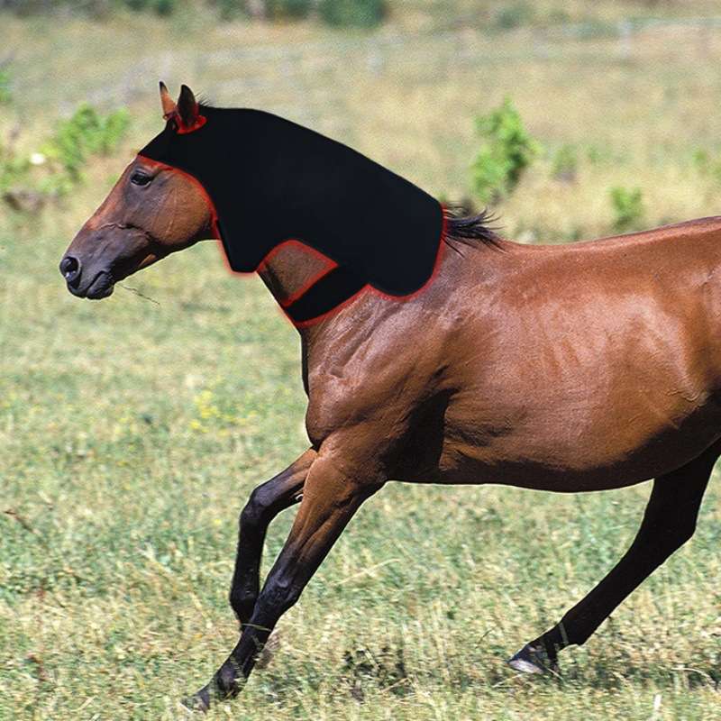 加大款296个LED红光红外线马头马脖子放松恢复理疗HORSE THERAPY
