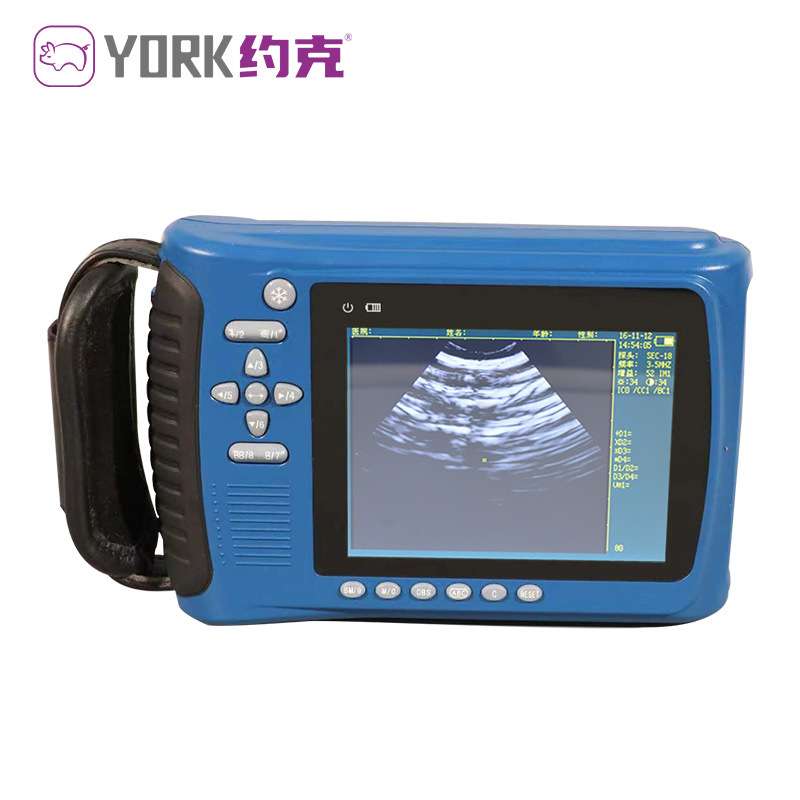派尔B超2018v母猪妊娠检测用机械探头母猪测孕B超机一台