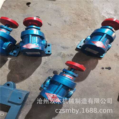 厂家供应不锈钢2CY系列齿轮油泵过滤机小型电动齿轮泵