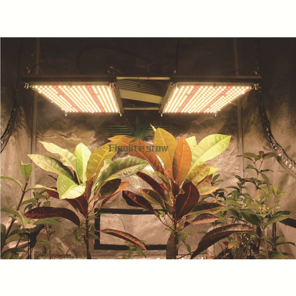 240W 双散热器 LM301H Quantum LED Board 植物灯量子板 配明纬