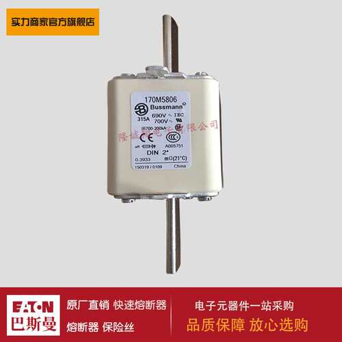 熔断器170M5776 170M5804 170M5805 170M5806 170M5807 170M6035