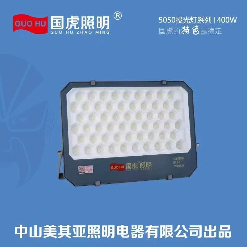 LED国虎照明投光灯户外防水50W100W200W国虎探照灯工厂仓库照明灯