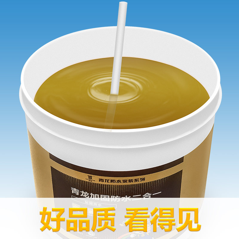 青龙加固防水材料地下室水泥砂浆水池裂缝堵漏墙面渗水防水涂料胶