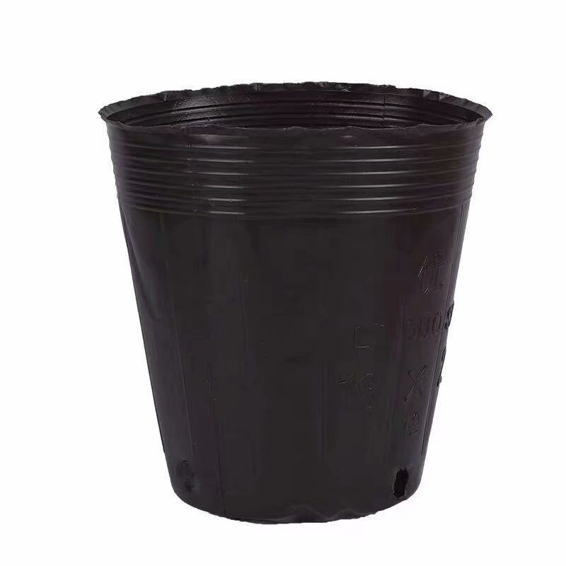 加厚营养钵树苗营养杯育苗杯加托一次性花盆黑色软塑料育苗盆加塞