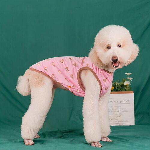 可爱大型犬狗狗背心2024夏季薄款拉布拉多金毛边牧哈士奇巨贵衣服