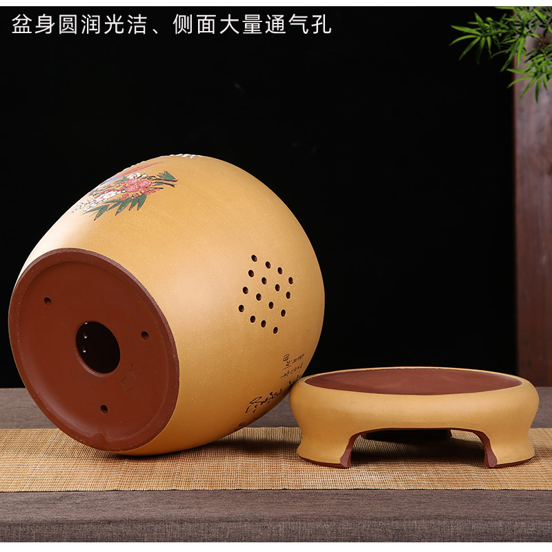 君子兰花盆宜兴紫砂盆兰花花盆精品手工盆桌面家用绿植花盆中国风