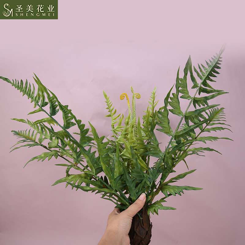 仿真植物蕨类植物15头大号洋齿蕨排草蕨铁线蕨大波斯菊绿植墙配材