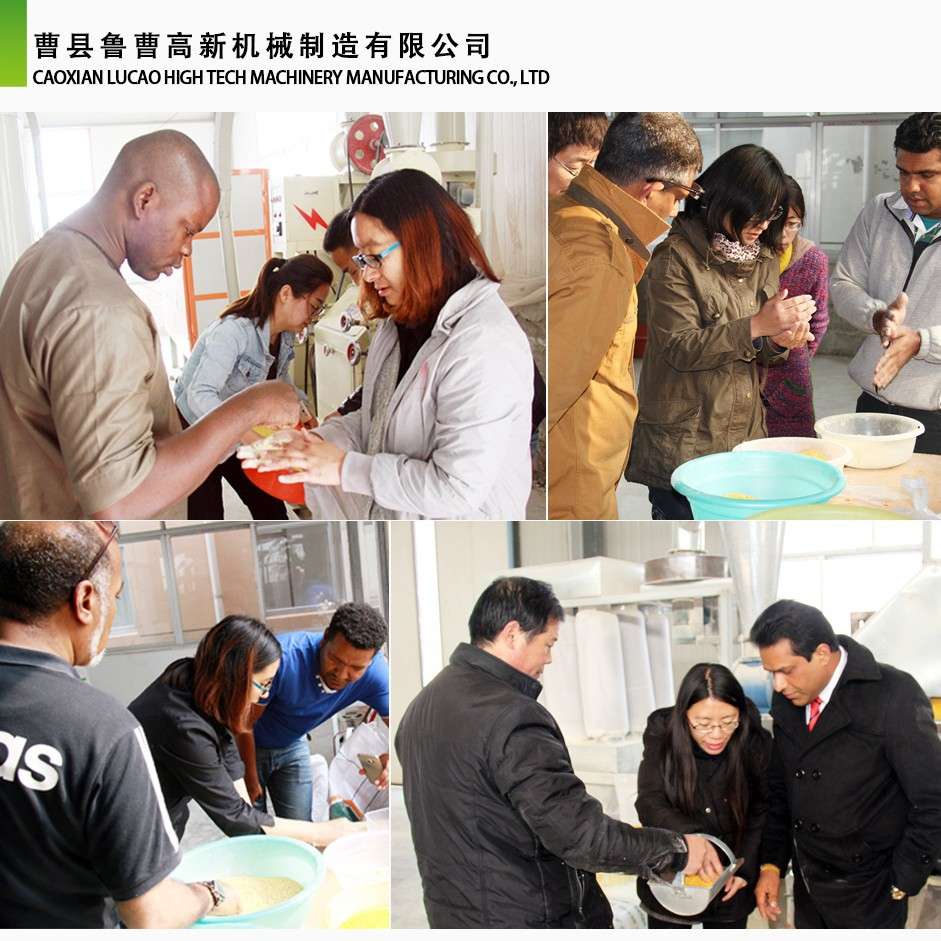 鲁曹高新东北地区苞米碴子机苞米面机玉米碴机器