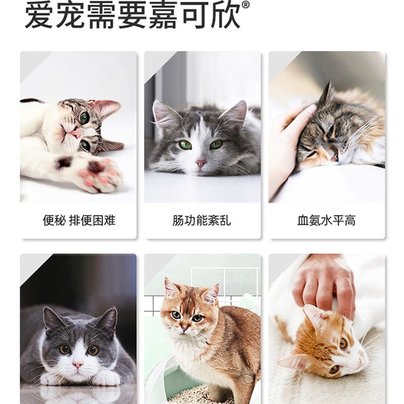派特安琪儿乳果糖宠物犬猫通肠润便拉不出屎大便干硬软化粪便