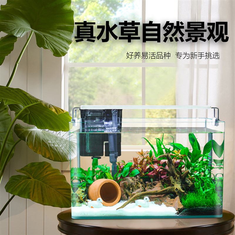 鱼缸客厅2025新款桌面家用小型金鱼缸全套造景真水草生态免换水缸