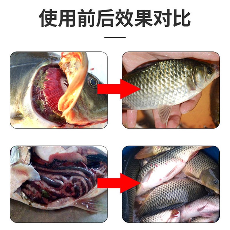 二氧化氯水产养殖专用泡腾片消毒剂杀菌除藻改善水质虾蟹鱼塘鱼药