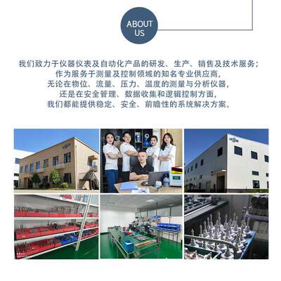 IFM易福门LMT100液位LMT110开关LMC100 LMT121 LMT102物位计