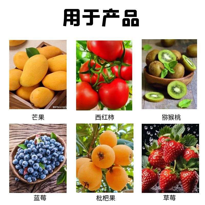 大型西梅汁加工设备商用乌梅原浆单道打浆机西洋梅去皮去核设备