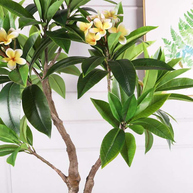 鸡蛋花树盆栽仿真绿植造景客厅假树摆件室内装饰仿真鸡蛋花树