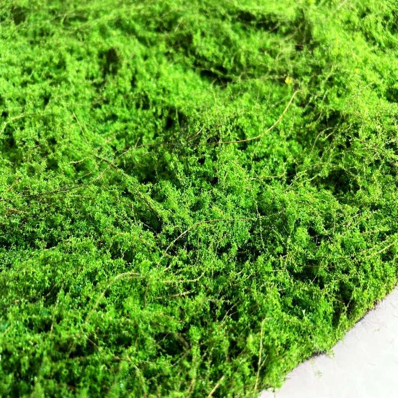 Eva材质植物墙苔藓地毯永生草坪青苔墙园林文化馆软装沙盘景观装