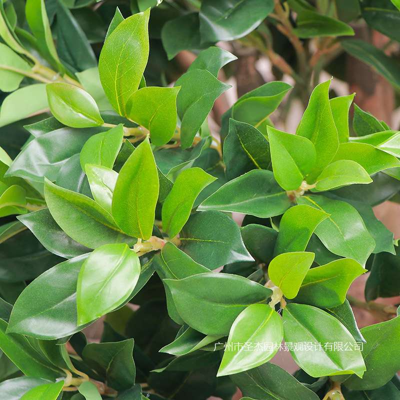 仿真招财树室外公园路引假植物装饰阻燃假树假植物盆栽仿真小榕树