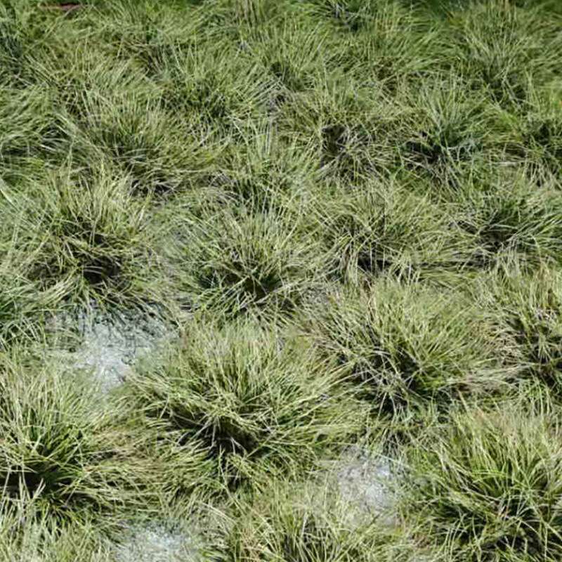 仿真草团室内绿植景观装饰仿真假草灌木草草垛草圈摆件创意