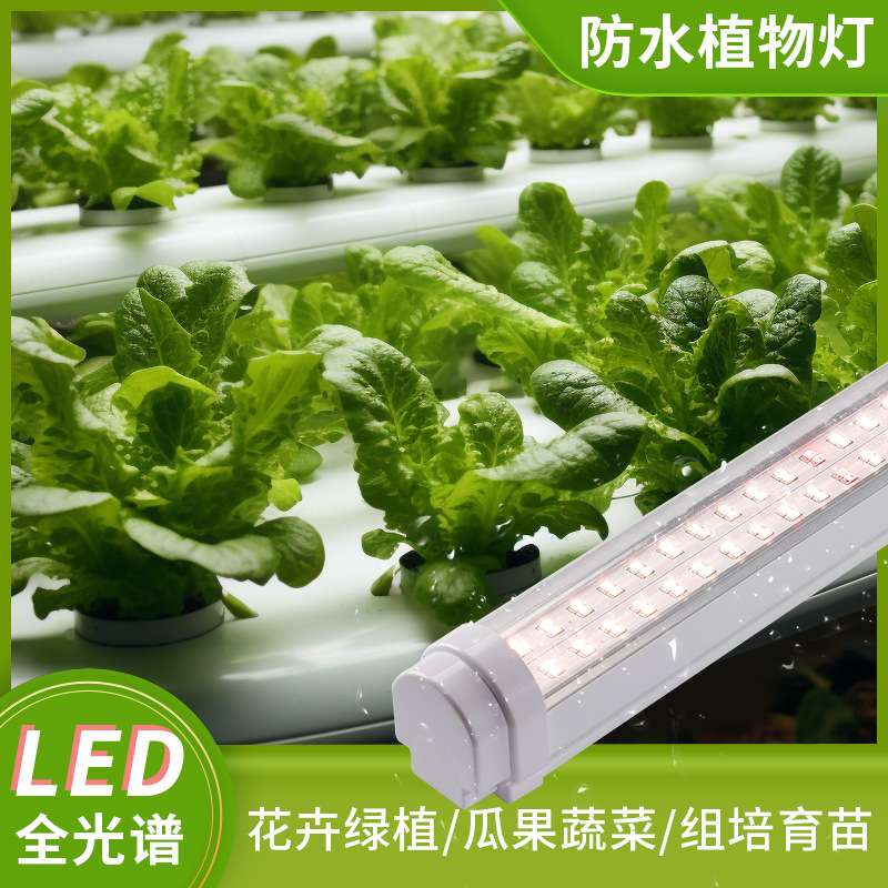 LED全光谱植物生长灯T8植物灯室内水培蔬菜多肉育苗组培生长灯