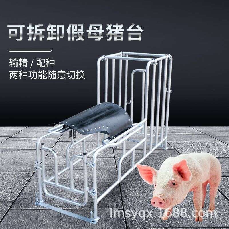 种猪小母猪架配种架采精支架公猪用配种栏受精配种器配猪架子设备