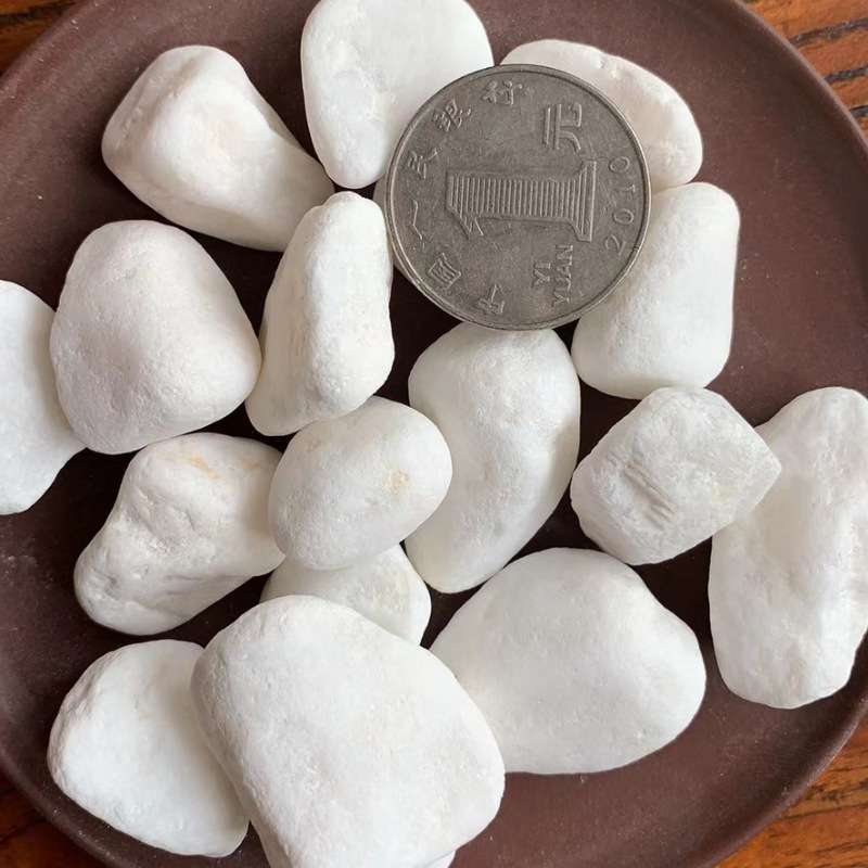 白色鹅卵石碎雪花白盆栽装饰白石子鹅卵石园艺庭院造景白色砾石