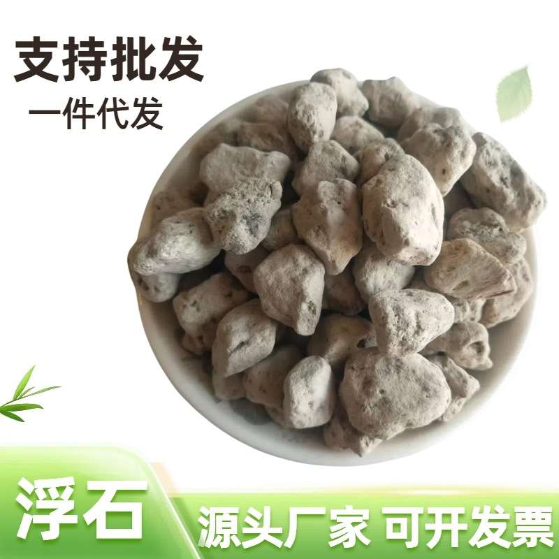 轻石厂家供应火山浮石水处理滤料兰花养殖用玻璃水质净化用