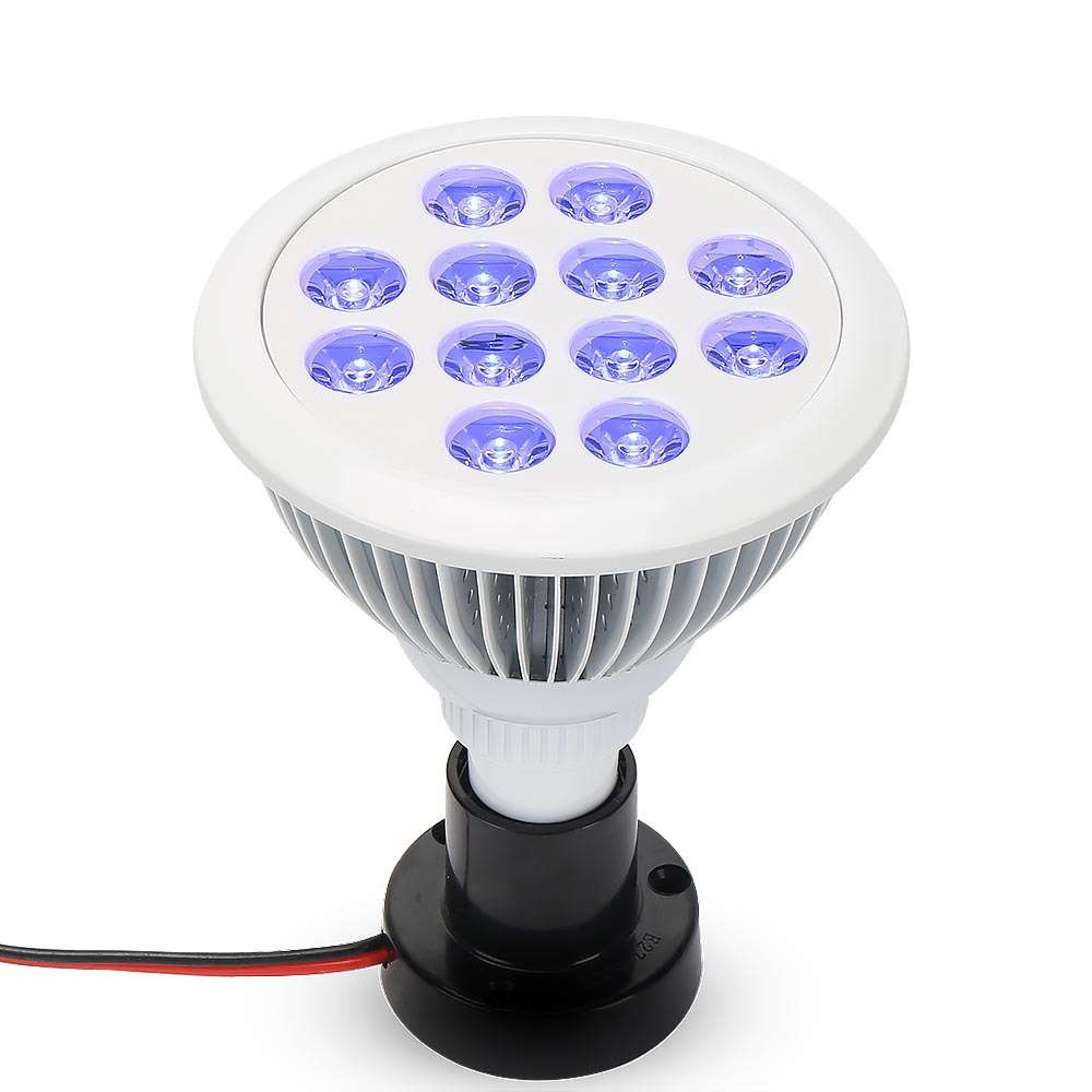 LED植物生长灯 全蓝光 E27 36W 室内多肉花卉育苗植物补光灯
