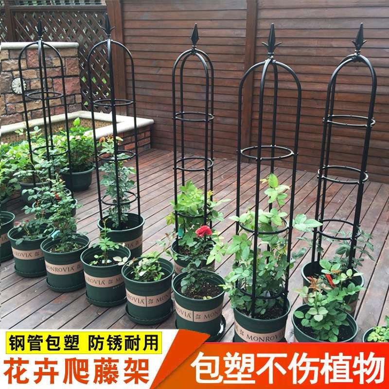 花架爬藤架铁线莲蔷薇架子月季花支架玫瑰户外欧月藤架攀爬植物架