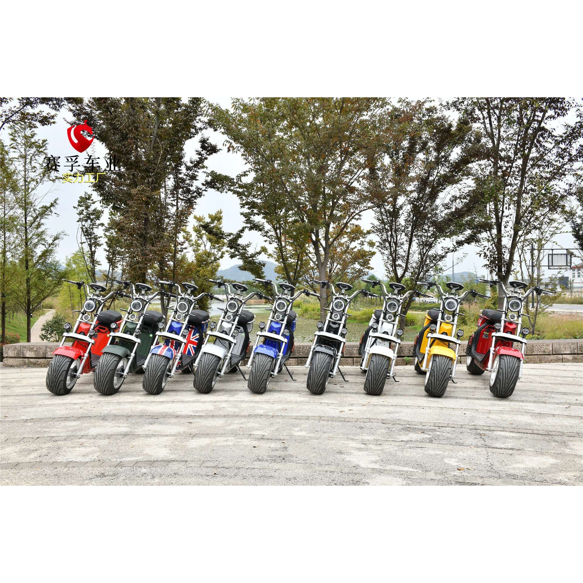 出口wide wheel citycoco electric宽胎电动太子哈雷车滑板车