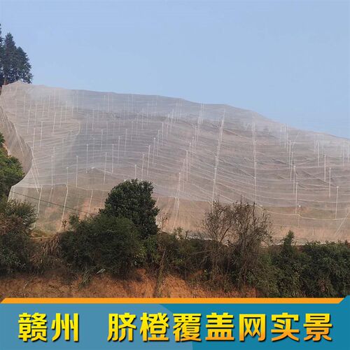 杨梅网罩樱桃防虫防风防鸟网水果树罩多肉莲雾桃树罗幔大棚专用罩