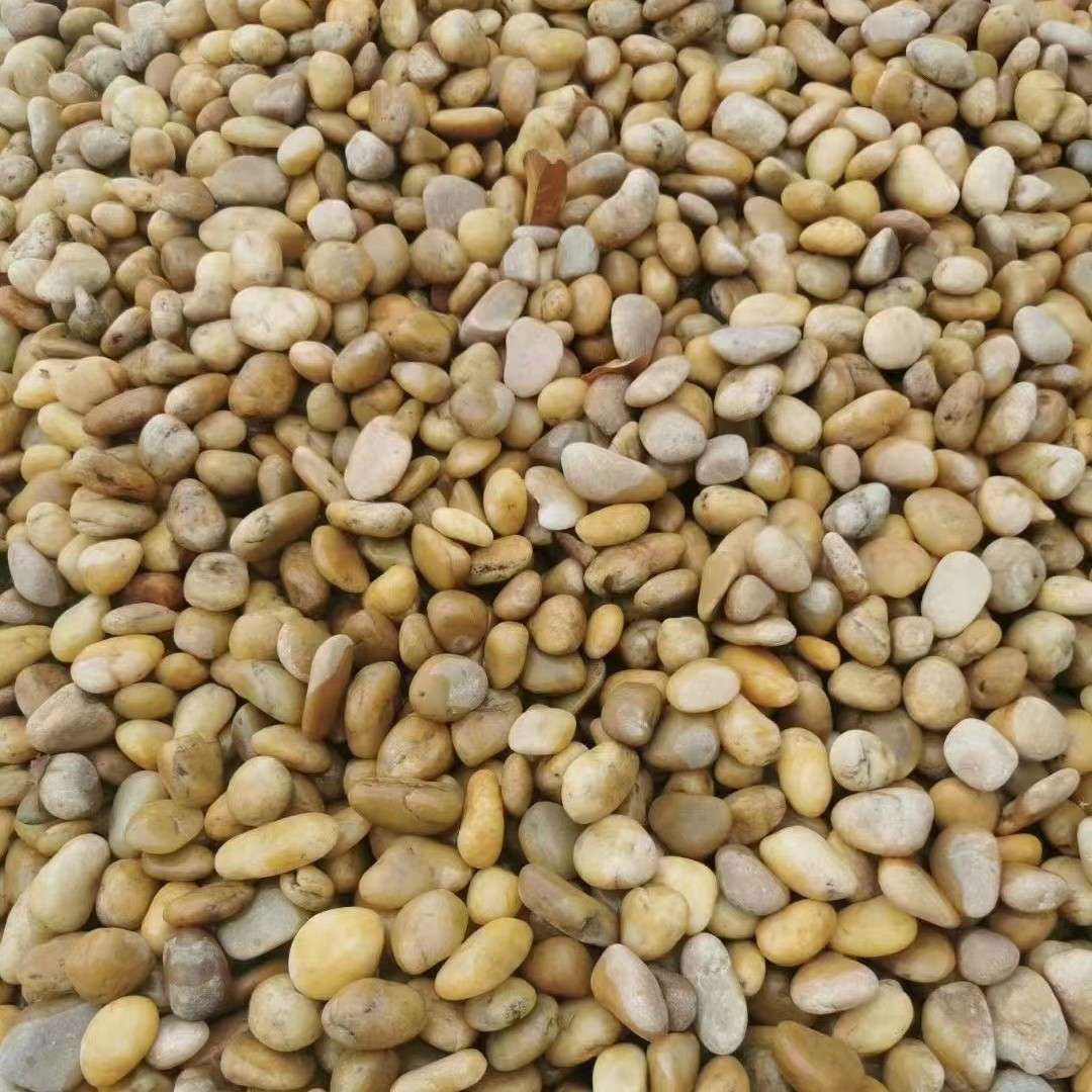 直供云浮天然黄色鹅卵石雨花石园林庭院铺设鹅卵石假山点缀原石