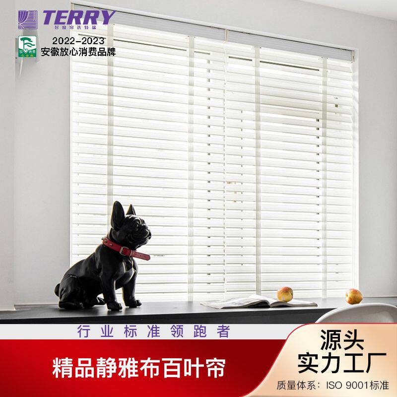特瑞布百叶帘卷帘电动蕾丝百叶窗帘书房卧室遮光朗丝帘拉珠升降帘