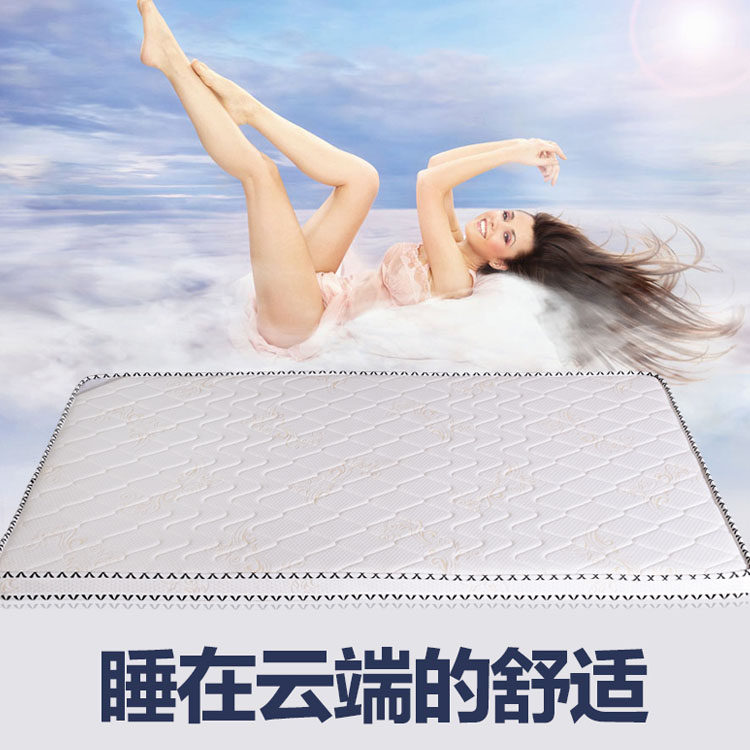 天然椰棕床垫3D透气网面环保单双人棕垫1.2可定做1.5m1.8米椰梦维