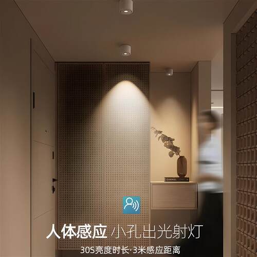明装射灯人来即亮入户玄关走廊人体感应LED防眩可调节吸顶式筒灯