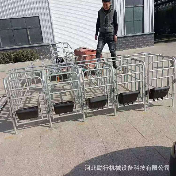 保育床仔猪双体塑料复合板热镀锌管保育栏母猪产床定位栏养猪设备