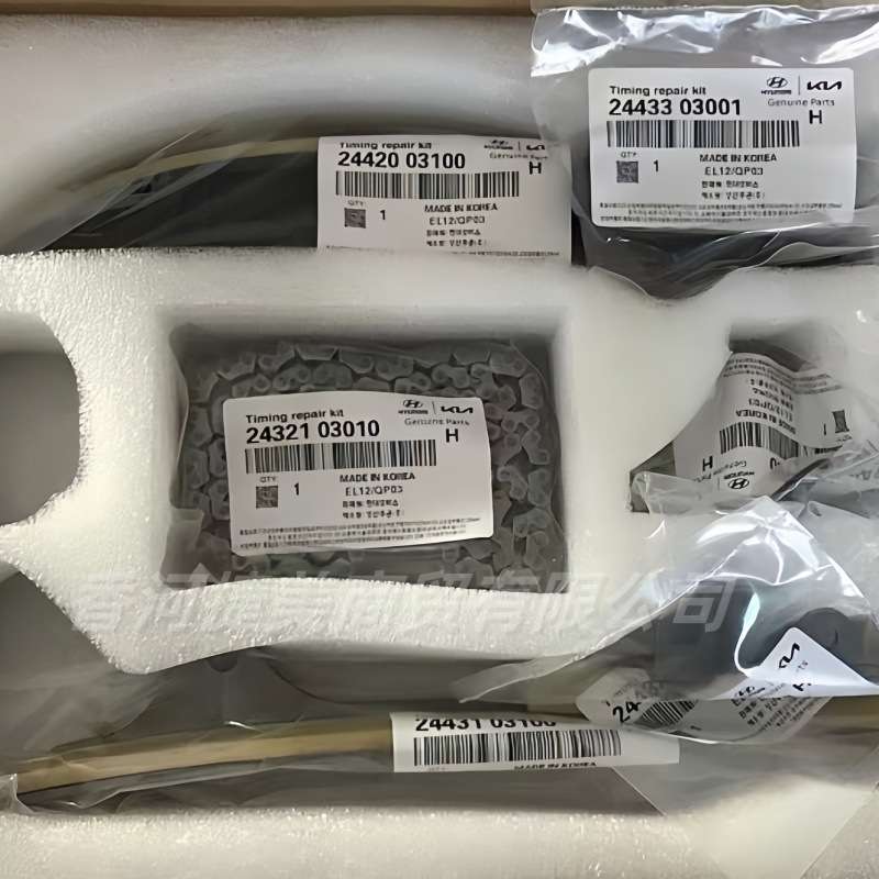 243212G111  244102G810 244202C101 244312G101 244202E0发动机