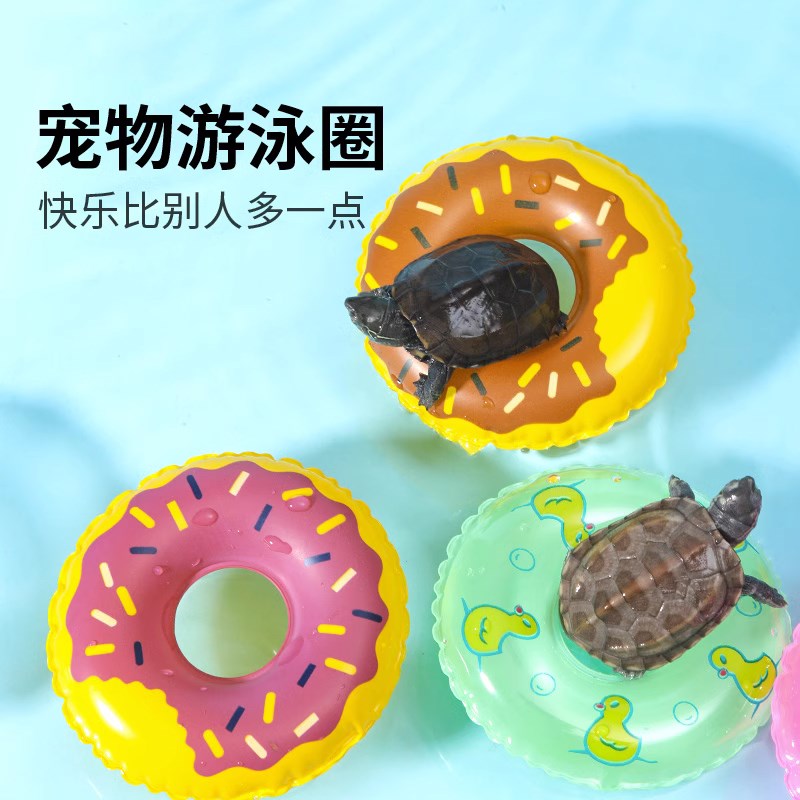 宠物小乌龟游泳圈移动晒背台爬台小型爬宠用品用具装饰造景玩具图片