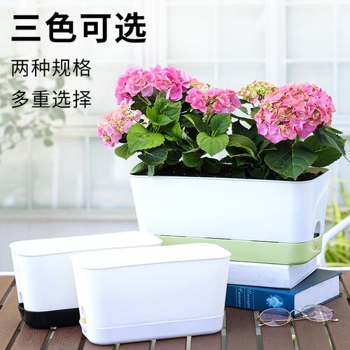 阳台花盆加厚塑料月季兰花盆多肉盆栽绿植懒人自吸水加仑盆桌面盆